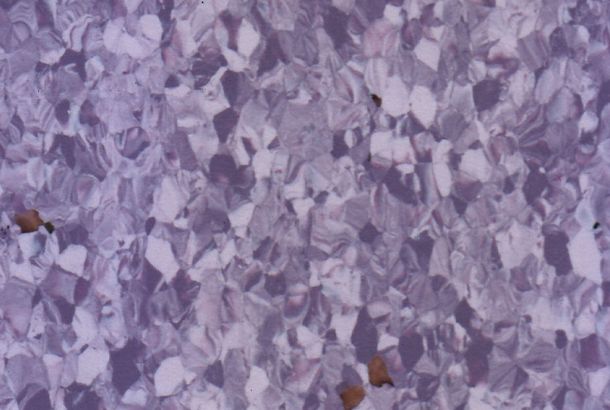 ALEXANDRIA Vinyl Flooring Colour Library